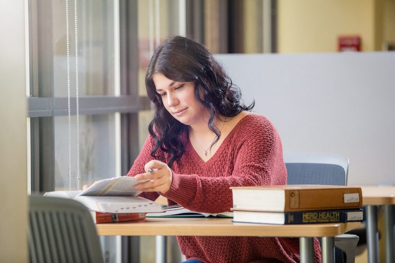 Student studying in front of a window.