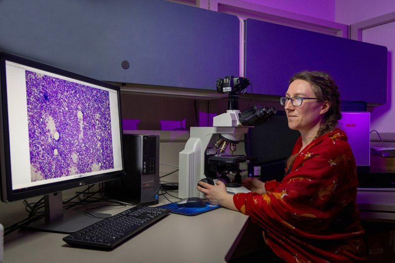 Christina Pacholec working with slides of disease and a computer.