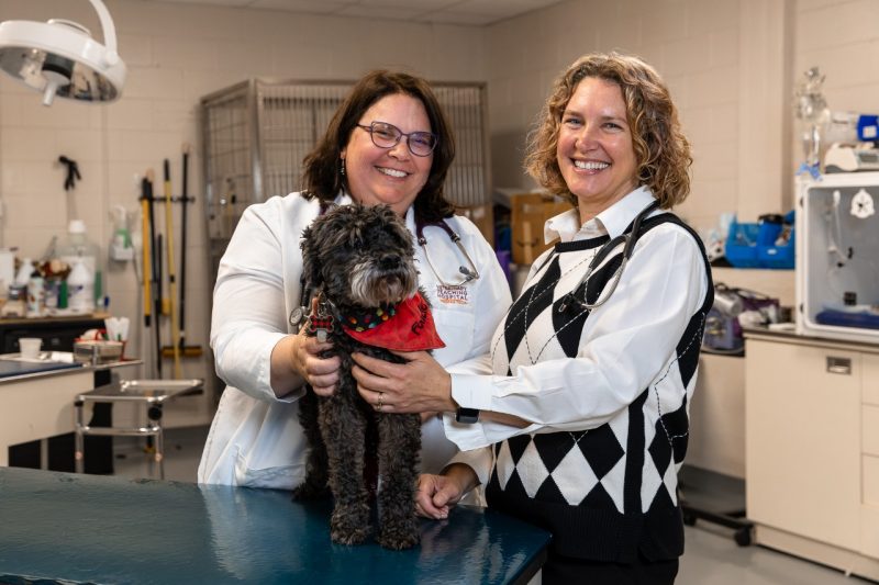 Sunshine Lahmers (on right) and Jenny Marin examining a small grey dog.