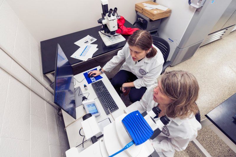 Kirsten Neilsen (at right) and Perry Kezh (at left) looking at work on a computer in the Neilsen lab at the Center for One Health Research