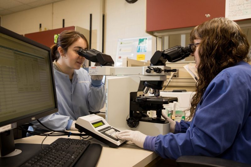 Women looking in microscopes in the ViTALS Laboratory at VMCVM.